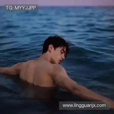 梅鹃仪